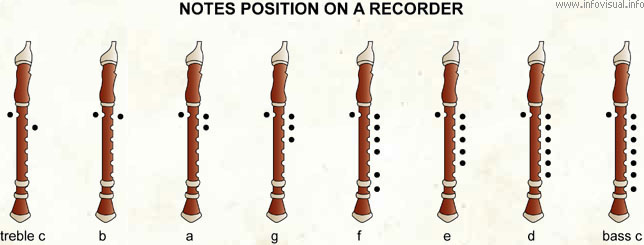 Notes position on a recorder  (Visual Dictionary)